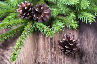 Similar image 5549390