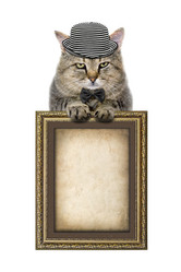 Similar image 5549396