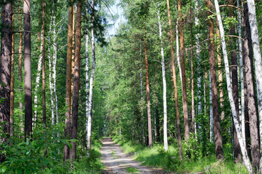 Similar image 5549533