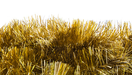 Similar image 5549570