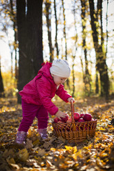 Similar image 5549572