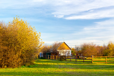 Similar image 5550619