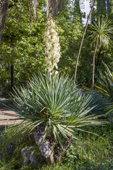 Similar image 5550818