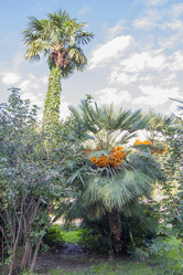 Similar image 5550820