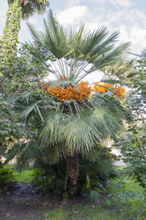 Similar image 5550821