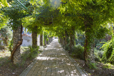 Similar image 5551175