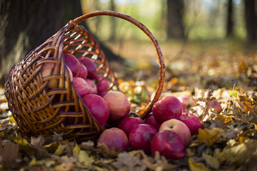 Similar image 5551856