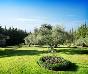 Similar image 5551959