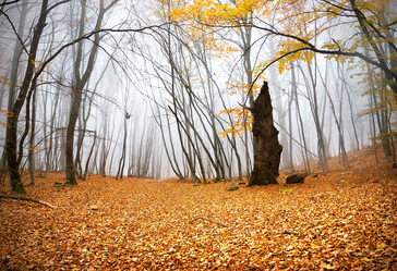 Similar image 5551961