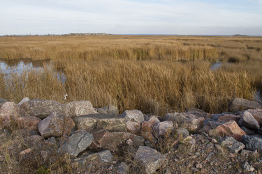 Similar image 5551984