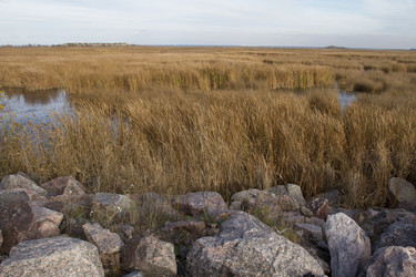 Similar image 5551985