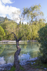 Similar image 5552006