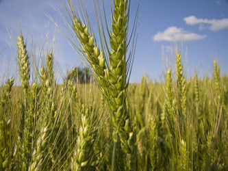 Similar image 5552014