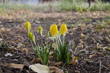 Similar image 5552030