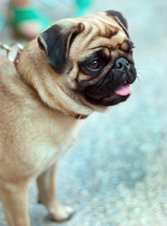 Similar image 5552060