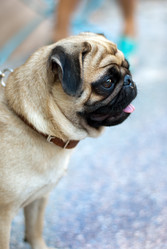 Similar image 5552061