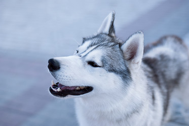 Similar image 5552063