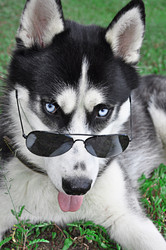 Similar image 5552093