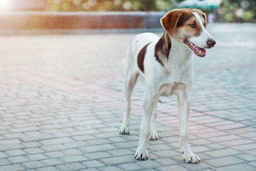 Similar image 5552094