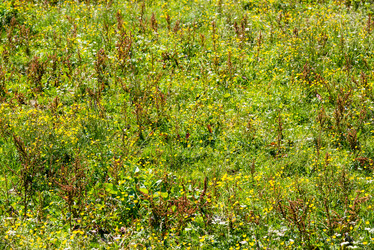 Similar image 5553836