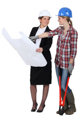 Similar image 5553853