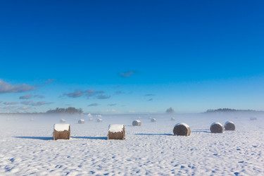 Similar image 5553930