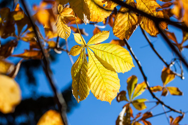 Similar image 5553936