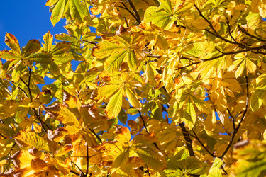 Similar image 5553938