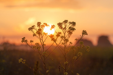 Similar image 5553941