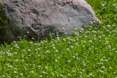 Similar image 5553943