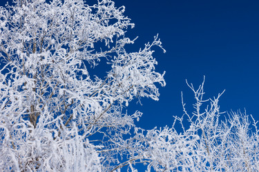 Similar image 5553947