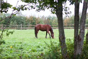 Similar image 5553966