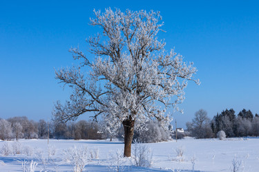 Similar image 5553974