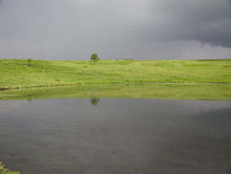 Similar image 5554005