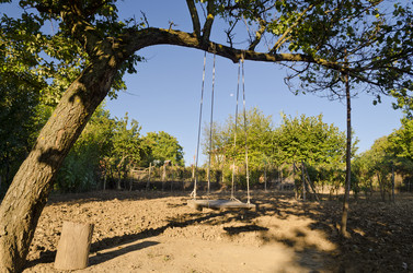 Similar image 5554011