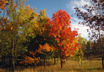 Similar image 5554012