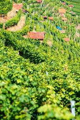 Similar image 5554122