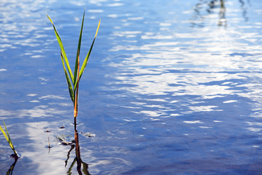 Similar image 5554207