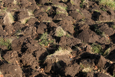 Similar image 5554211