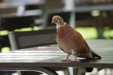 Similar image 5554293