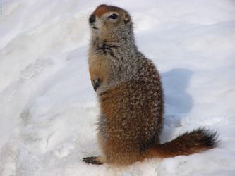 Similar image 5554294