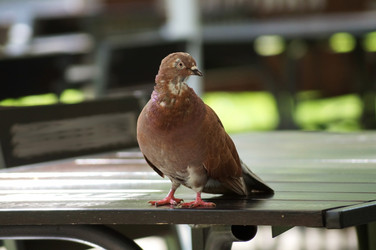 Similar image 5554295