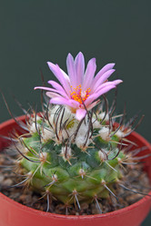 Similar image 5554363