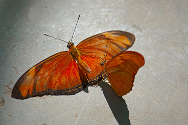 Similar image 5554367