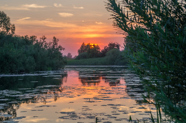 Similar image 5554453