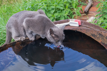 Similar image 5554457