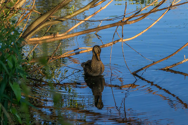 Similar image 5554458