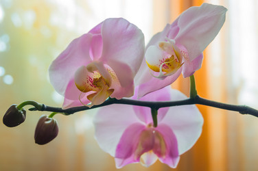 Similar image 5554459