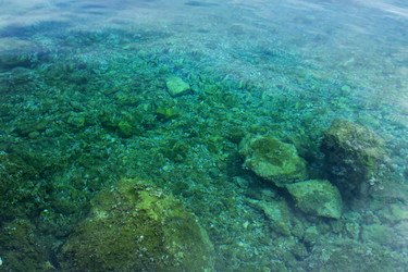 Similar image 5554474