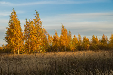 Similar image 5554475